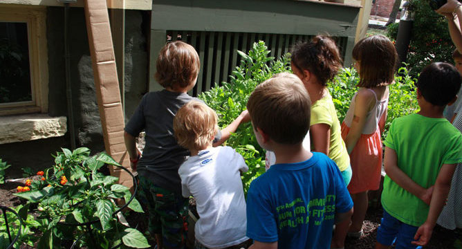 Fresh Veggie Project to Benefit Toni’s Kitchen